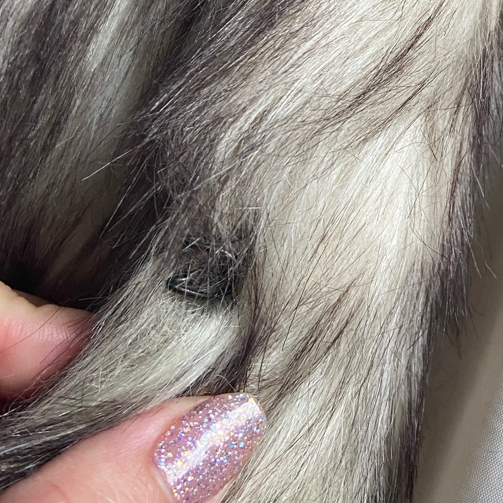 Beautiful Faux Fur Vest (Ci Sono by Cavalini) - Picture 15 of 15